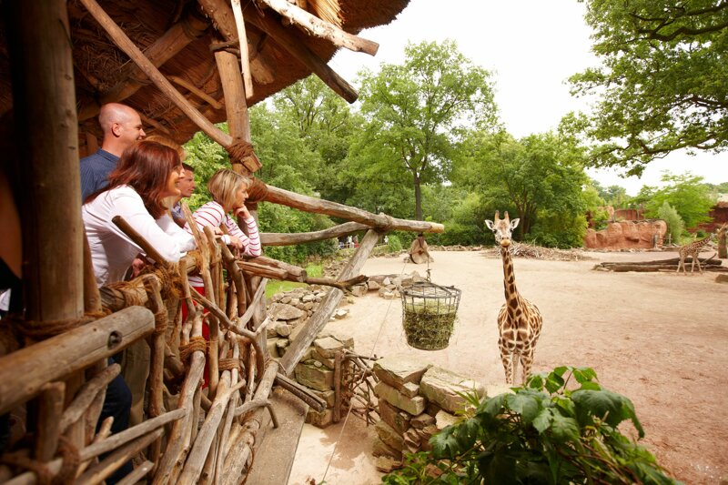 Kurzurlaub im Zoo Hannover Hotel inkl. Eintritt günstig buchen